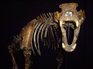 Musée du karst, Bulgarie