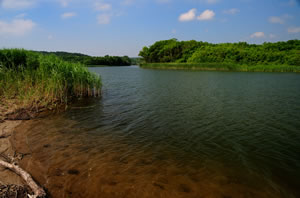 Véléka, Bulgarie
