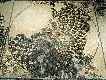 M&eacute;duse-Gorgone, mus&eacute;e des mosa&iuml;ques romaines &agrave; Devnya
