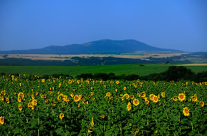 Les hauteurs Bakadjik, Bulgarie