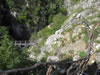 Canyon Emenski