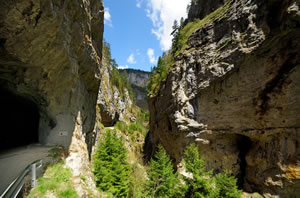 Gorges de Trigrad, Bulgarie