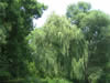 Parc naturel Kamtchia