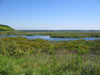 Lac Srébarna