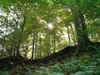Parc naturel Balgarka