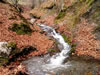 Parc naturel Balgarka