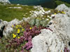 Parc naturel Balgarka