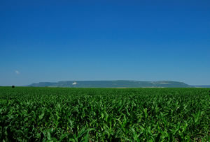 Plateau de Choumen, Bulgarie