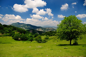 Les Rhodopes, Bulgarie