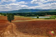 Terre rouge entre les villages Mramor et Or&eacute;chnik, r&eacute;gion Strandja - Sakar, Bulgarie du sud-est