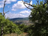 Parc naturel Strandja
