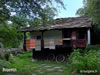 Bojentzi
