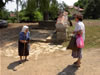 Brachlyan