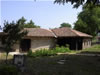 Brachlyan