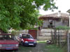 Brachlyan