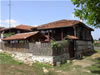 Brachlyan