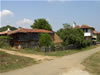 Brachlyan