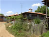 Brachlyan