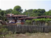 Brachlyan