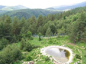 Parc des ours dansants, Bulgarie