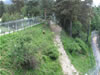 Parc des ours dansants