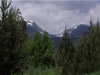 Parc des ours dansants