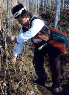 Trifon Zarézan, Bulgarie