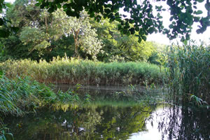 Réserve naturelle Baltata, Bulgarie