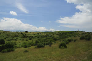 La bataille de Doïran, Bulgarie