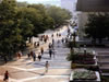 Varna