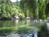 Vélingrad