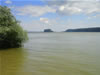 Vidin