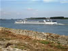 Vidin