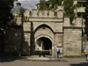 Vidin