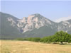 Vratza