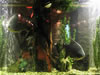 Aquarium de Varna