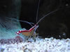 Aquarium de Varna