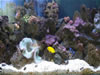 Aquarium de Varna