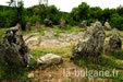 Cromleh - site antique du culte thrace